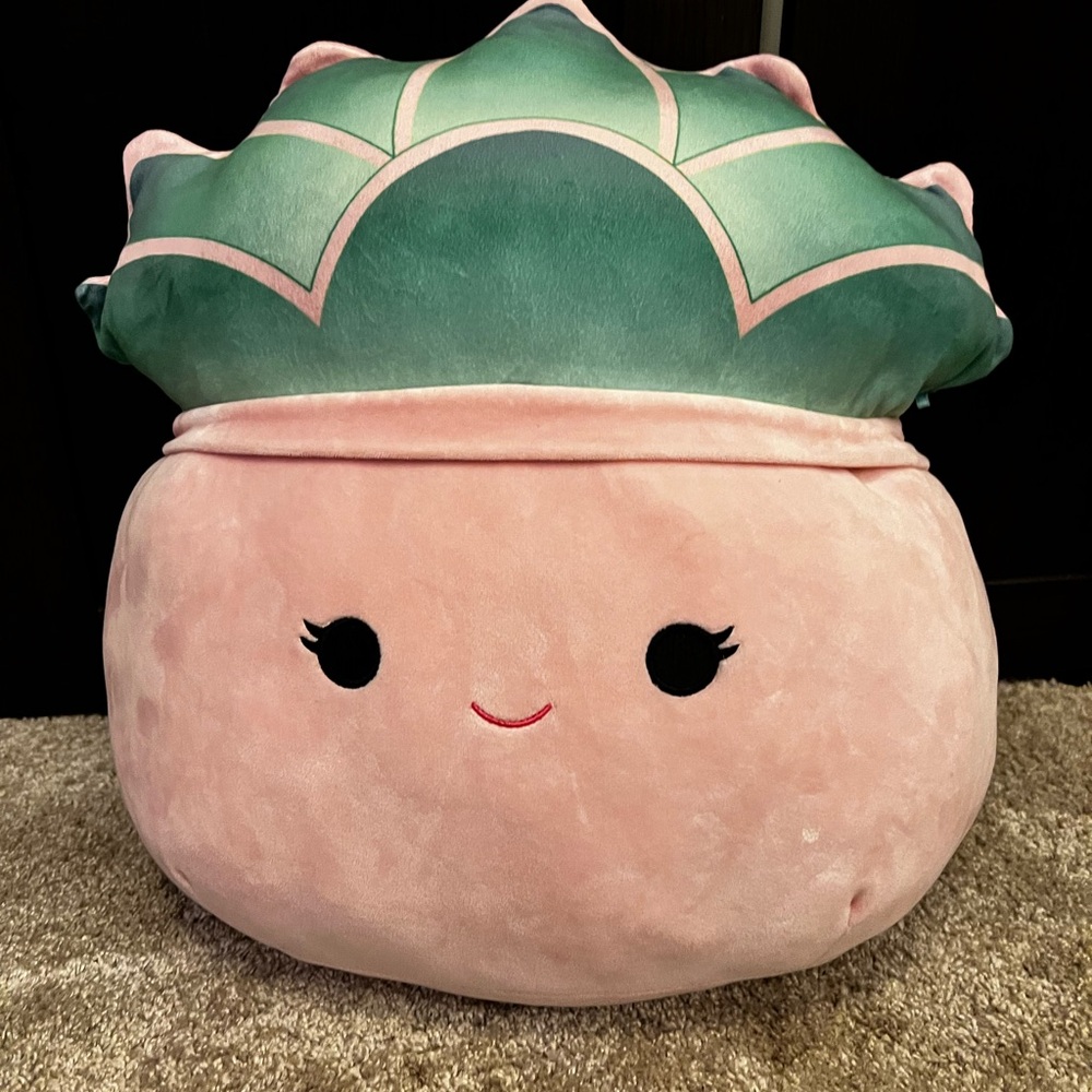 Pink and Green Succulent Accent Pillow